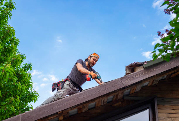 Best Solar Panel Roofing Installation  in Tazewell, VA