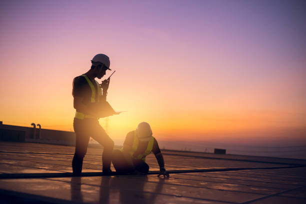 Best Roof Moss and Algae Removal  in Tazewell, VA