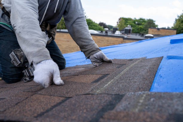 Best Roof Leak Repair  in Tazewell, VA