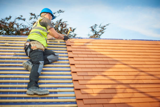 Best Skylight Installation and Repair  in Tazewell, VA